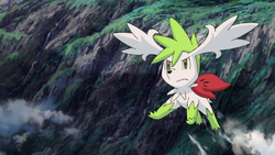 Shaymin - Character (1281) - AniDB