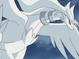 N's Reshiram