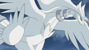 Reshiram (anime), Pokémon Wiki