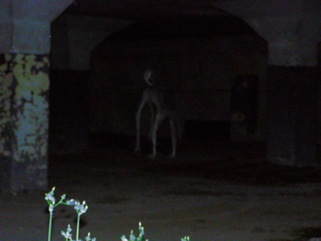 The Stalking Dwarf/Pig Creature Barli and SCP Foundation 2020 Wiki Fandom