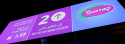 Barney - Up To Second Floor