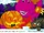 Barney's Halloween Party (Book)