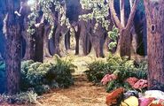 The Woods