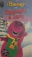 Esperando a Santa