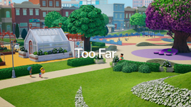 Title card