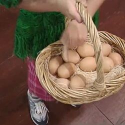 Egg Storage  the Hen Song