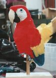 The Parrot Puppet from Imagination Island.