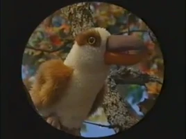 Kookaburra | Barney Wiki | Fandom