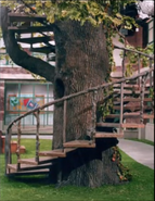 The treehouse staircase.