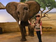 Kacie Lynch, who portrays Taylor, stands next to an elephant on the set of "The Good Egg: Kenya".