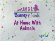 At Home With Animals Title Card