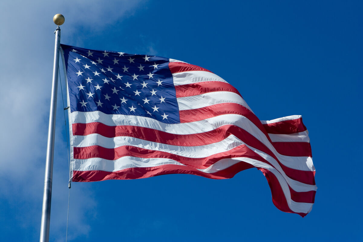 what is the unit of classification in taxonomy