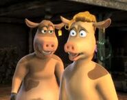 Abby and Bessy.jpg (7 KB)