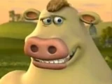 Igg