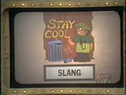 Slang