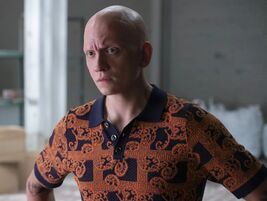 NoHo Hank S4A