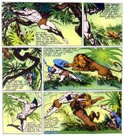 Tarzan and spotted lion