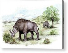 Brontotherium-prehistoric-mammals-deagostiniuig