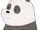 Panda Bear