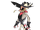 Striker