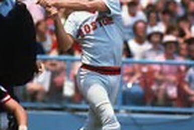 Denny McLain, Baseball Wiki