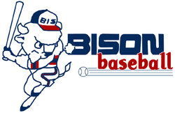 Buffalo Bisons (1928–1936), American Hockey League Wiki