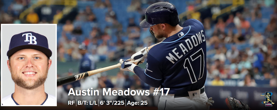 Austin Meadows, Baseball Wiki