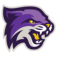Bethel (TN) Wildcats | Baseball Wiki | Fandom