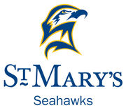 Seahawk-logo