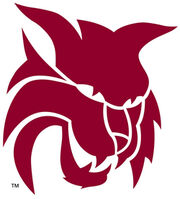 Central Washington Wildcats