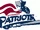 Somerset Patriots