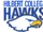 Hilbert Hawks