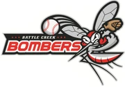 Team Logo.