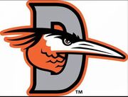 Delmarva Shorebirds