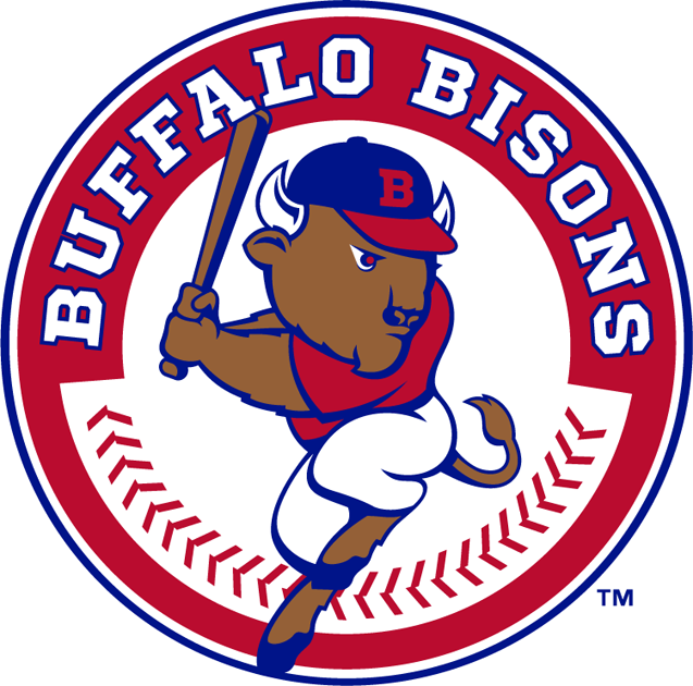 American Bison Baseball Kit