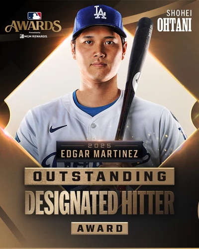 2025 Designated Hitter