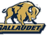 Gallaudet Bison