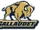 Gallaudet Bison