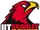 Illinois Tech Scarlet Hawks