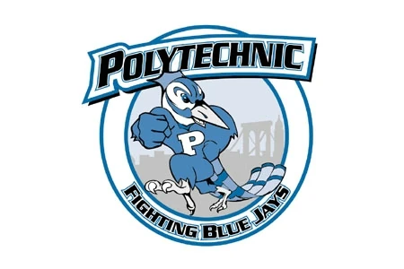 Nyu Polytechnic Fighting Blue Jays Baseball Wiki Fandom