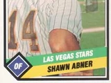 Shawn Abner