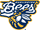 Burlington Bees
