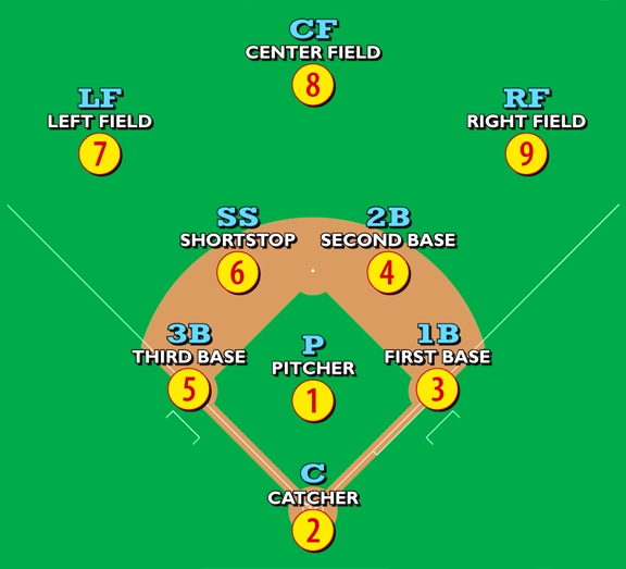 Baseball Position Numbers and Duties Explained - HowTheyPlay