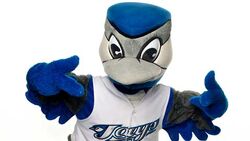 Ace (Toronto Blue Jays), SportsMascots Wikia