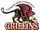 Gwynedd-Mercy Griffins