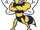 Howard Payne Yellow Jackets