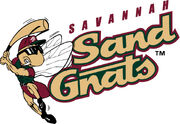 Savannah Sand Gnats