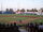 Cashman Field