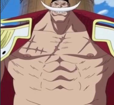 The One Piece is real | Basically Everything Wiki | Fandom
