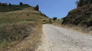 1247-122811-Ronda-road-Roman.jpg